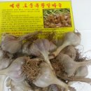 예천홍삼유황오리 이미지