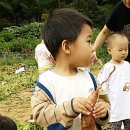 건희농장 이미지