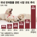 미엘동물병원 이미지