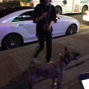 동현24시동물병원 이미지