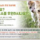이리온 이미지