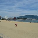 송도해수욕장 티스토리