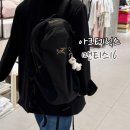 아크테릭스 백팩 1년 사용 후기 아크테릭스 맨티스16