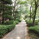 파인애플세탁소 이미지