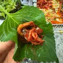 대야농장 | 시흥 오리고기 맛집 시골오리농장 7월까지 영업 이전 안내