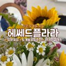 헤쎄드커피