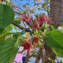 하천(충훈2교) 이미지