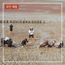 무안황토갯벌랜드 기타 이미지