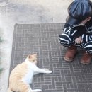 헤세드하우스