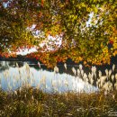 아름다운 색으로 물들다, 가을 그리고 봄-진해 내수면환경생태공원 이미지