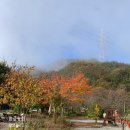 슈르르까2 이미지