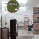 하바나뷰티