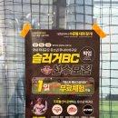 하남 미사 야구레슨 슬러거 베이스볼 랩 체험 수업 솔직 후기