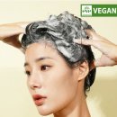 샴푸이야기 | 닥터모두 탈모샴푸 2번째 후기｜프랑스 비건 인증 기능성 두피케어 샴푸 사용기