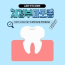 우가주치과병원 네이버블로그