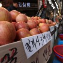 비둘기밧데리 이미지