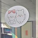 댕스미스 애견미용 이미지