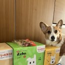 메이동물병원 이미지