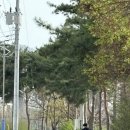 천변카센타 이미지