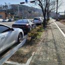 남파로 이미지