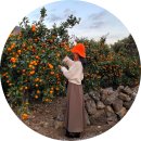 월영사계 이미지