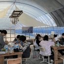 우하하농장 네이버블로그