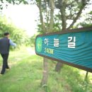 경상북도산림과학박물관 이미지