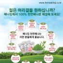헤나킹 이미지