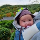 스테이빛토 키즈 이미지