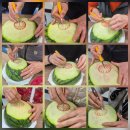 (주)대산푸드 | 함안 출강 후기｜대산면 수박카빙 12차 수업 마무리 & 자격증 수여식 뒷이야기