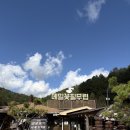 신 봉평메밀 | 봉평 메밀꽃필무렵 막국수 맛집,간장나물막국수! 아이도 잘 먹는 막국수