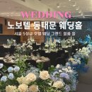 노보텔 앰배서더 동대문 그랜드 볼룸 서울 중구 호텔 웨딩홀 추천