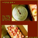 연두사과 이미지
