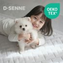 한일1매트