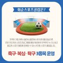 화순스포츠클럽 이미지