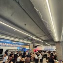 속초 오징어 어시장 이미지