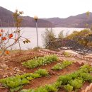 달그리고강 이미지