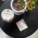 스틸하우스 | 구로 신도림 카페_스틸하우스 STILL HAUS