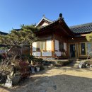 희락정민박 | 나주 독채펜션 가족펜션 애견동반되는 희락정펜션 / 한옥민박집 바베큐
