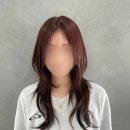 숩틸 이미지