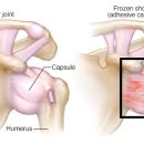 바라다한의원 이미지