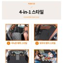 중앙카시트 | 강아지 추천 대형견 풀커버 카시트ㅣ도고 프리미엄 솔직 후기