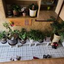 태정식당 이미지