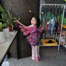 거창천적생태과학관 교육관 | 경남 거창 아이와 가볼만한곳 거창사과테마파크 실내 체험
