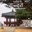 새봄펜션 | 태안 해루질 펜션 신축에 감성까지 챙긴 스테이도유