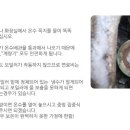육일공사