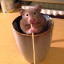 눈칫밥