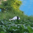 100세실버카 이미지