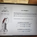 장지역 피부관리 더벨스파 가든파이브점