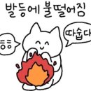 상견례 후기; 대구 심비디움, 상견례선물 추천, 상견례 Tip